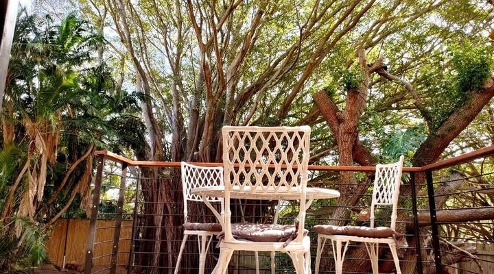 ZenCapeTown Forest Retreat