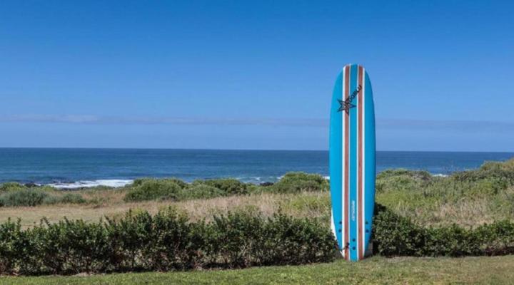 Shores Edge Cottage and Seapearl Ocean Front Villa