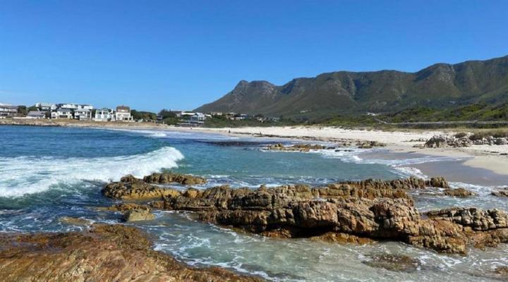 Shores Edge Cottage and Seapearl Ocean Front Villa