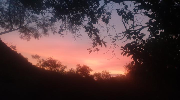 Stone Cottage on Exclusive Bush Farm