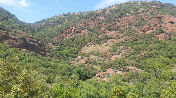 Stone Cottage on Exclusive Bush Farm