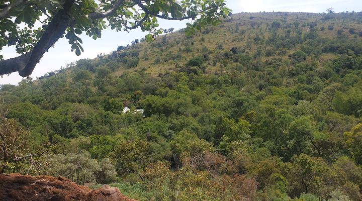 Stone Cottage on Exclusive Bush Farm