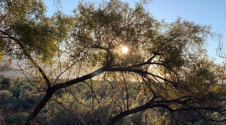 Ymansdam Camping & Self-catering Cottage