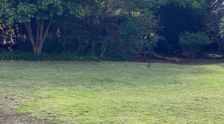 Green Gables Guesthouse