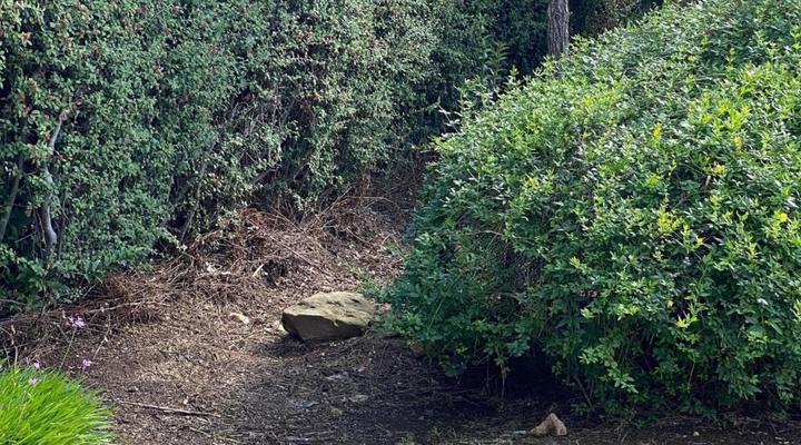 Green Gables Guesthouse