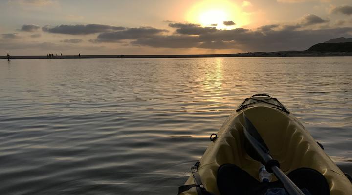 Sedgefield Kingfisher Cottage