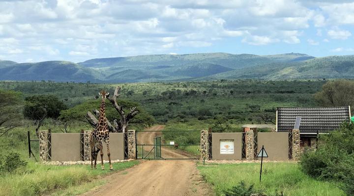 Amakhosi Safari Lodge