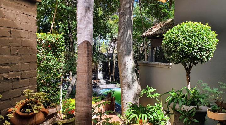 Waterhouse Guest Lodge - Indus Street