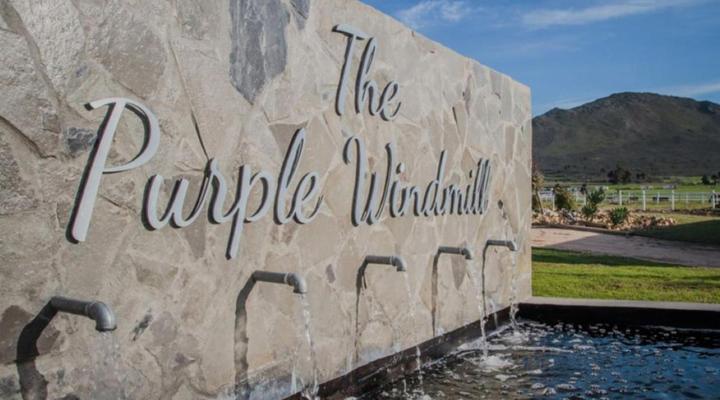 The Purple Windmill