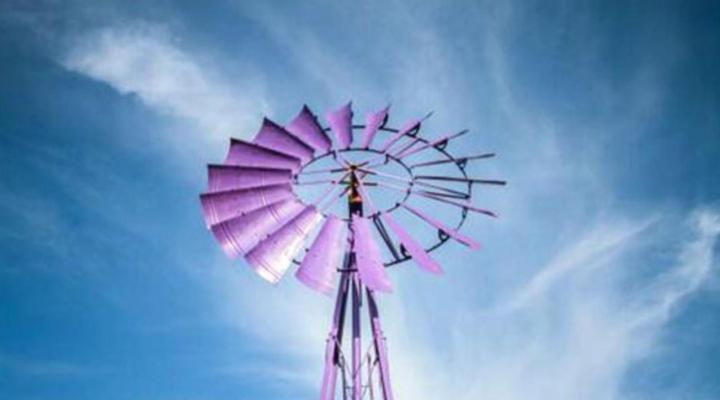 The Purple Windmill