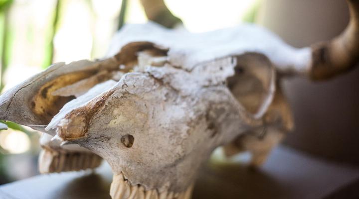 De Akker Guest House