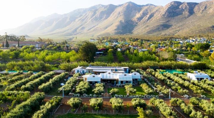 Olive Stone Farm and Cottages