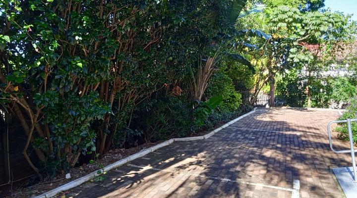 Tudor Place Guest House