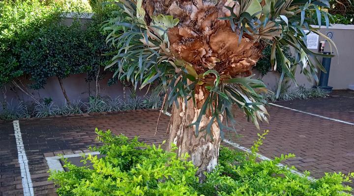 Tudor Place Guest House