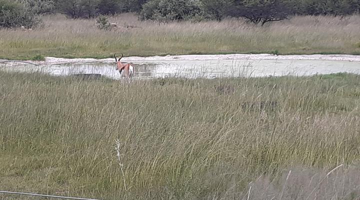 Grootbosch Guest Farm & Venue