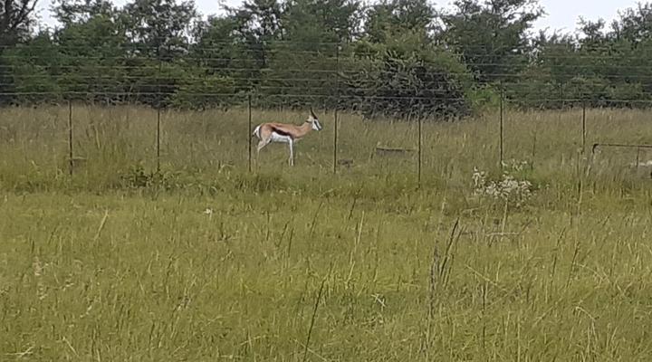 Grootbosch Guest Farm & Venue