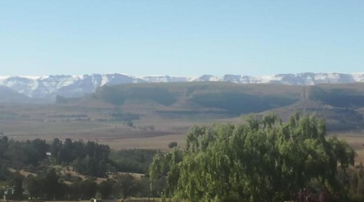 The Fat Mulberry Guest Farm