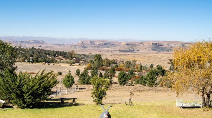 The Fat Mulberry Guest Farm