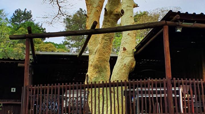 Sakabula Country Lodge