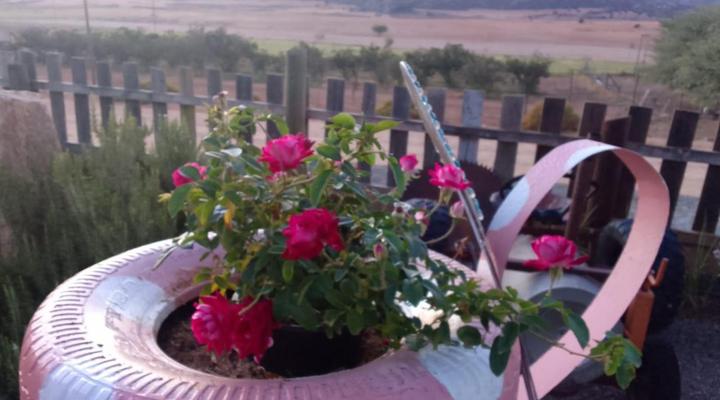 Thys'e Kombuis & Guest House