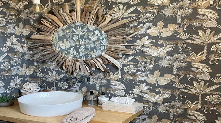 ZACHtours.ch Guest House