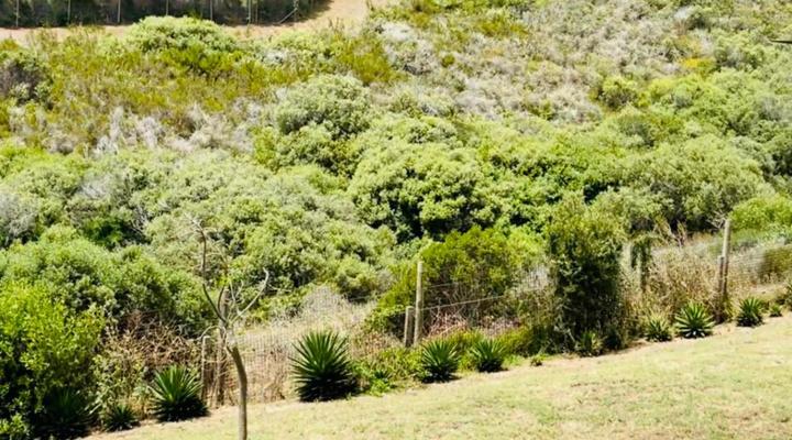 C and C Hotel Vibes CPT Plattekloof