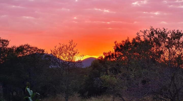 Wildthingz Bush Lodge