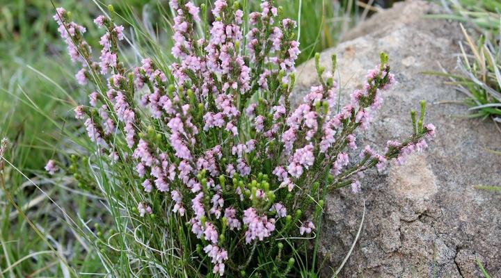 Tenahead Mountain Lodge and Spa