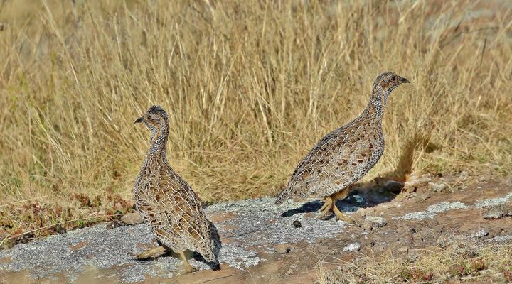 Tenahead Mountain Lodge and Spa