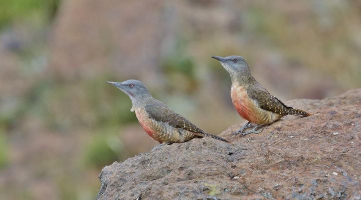 Tenahead Mountain Lodge and Spa