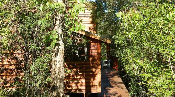 Fern Gully Forest Cabins