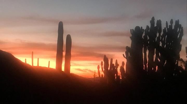 Olive Hill Guest House