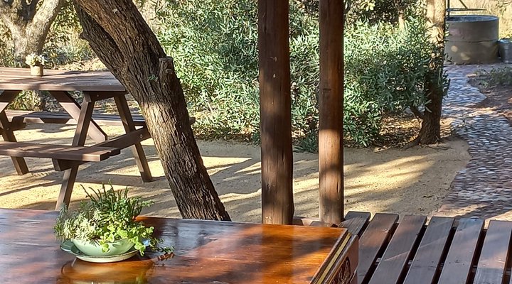 Five Pebbles on Piece of Africa