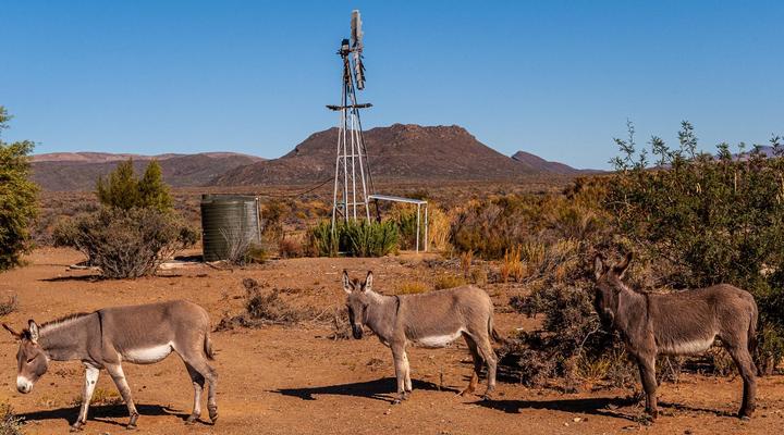 Marinvia Trust T/A Rooilande Guest Farm