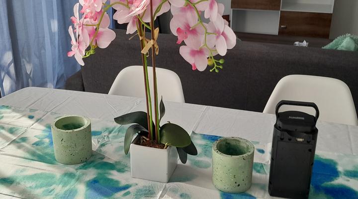 Beach Studio - walk to the beach