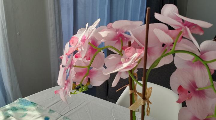 Beach Studio - walk to the beach