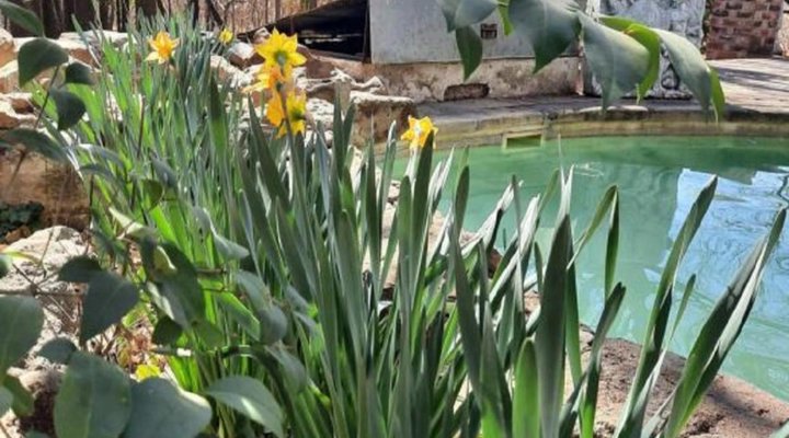 Arcadia Guesthouse & Restaurant