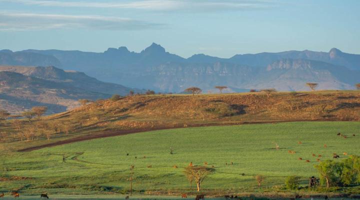 Kezlyn Farm Cottages