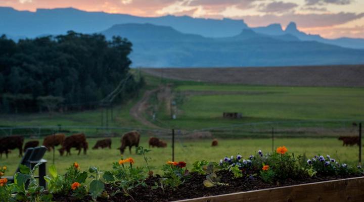 Kezlyn Farm Cottages