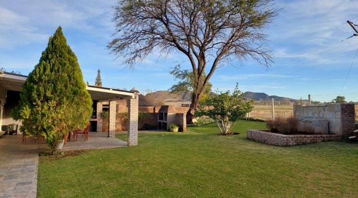 Aloes 62 on Meintjies