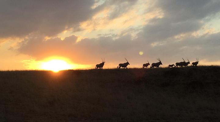 Francolin Creek Guest Lodge