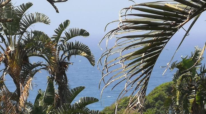 Ridgeview Holiday Accommodation