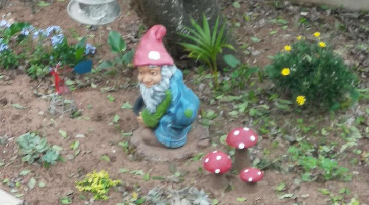 Ridgeview Holiday Accommodation