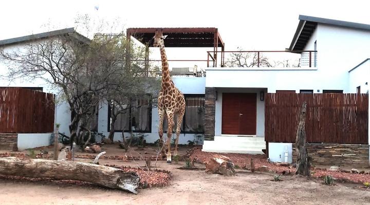 Gem in the Bush Lodge