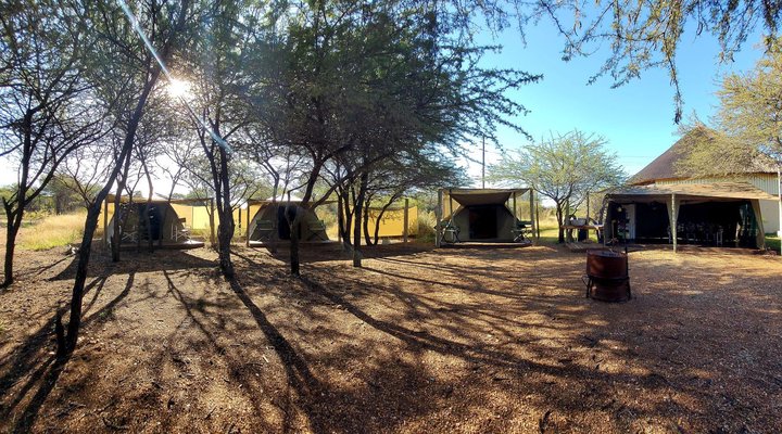 Thorn Tree Bush Camp - Accommodation