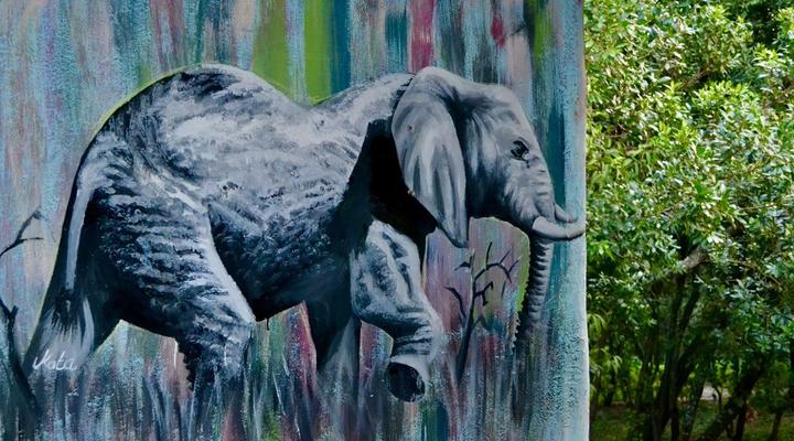 Oltome Mara Magic Resort