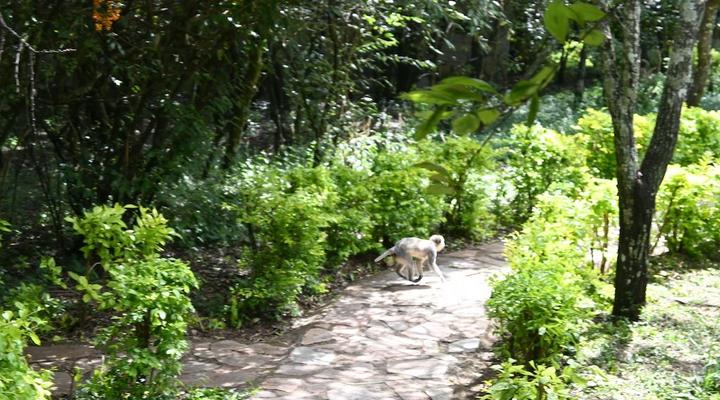 Oltome Mara Magic Resort