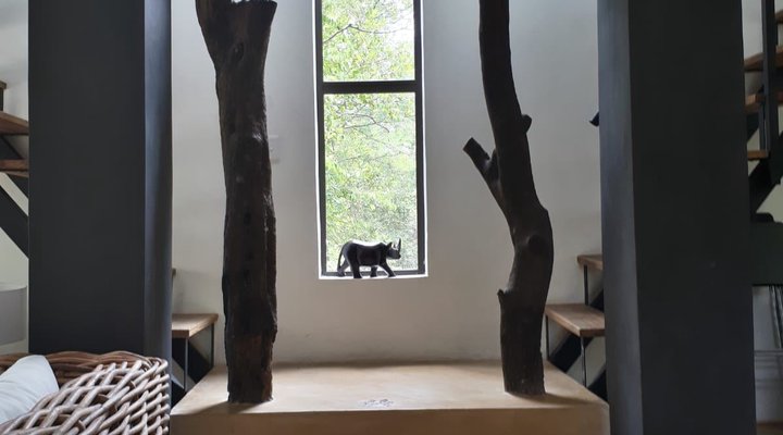 Boutique lodge Cozy Lion