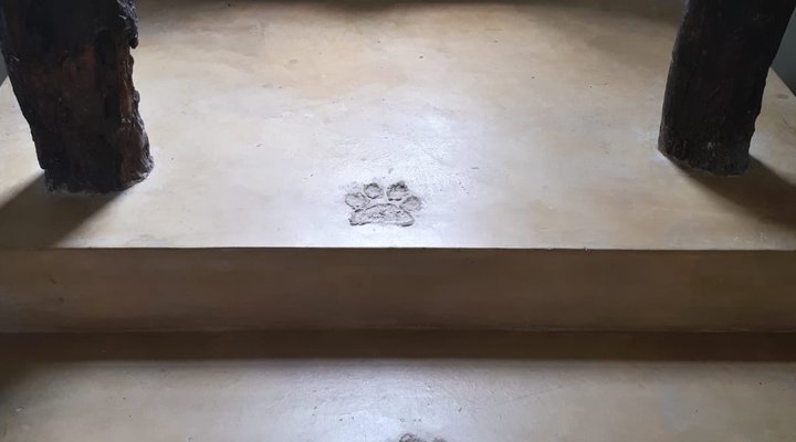 Boutique lodge Cozy Lion