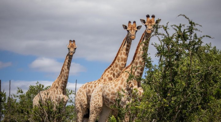 Pabala Private Nature Reserve